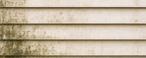 Vinyl Siding Maintenance Tips for Homeowners in Northwest Indiana