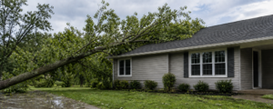 Tree leaning against a house after high winds, illustrating Northwest Indiana storm damage repair