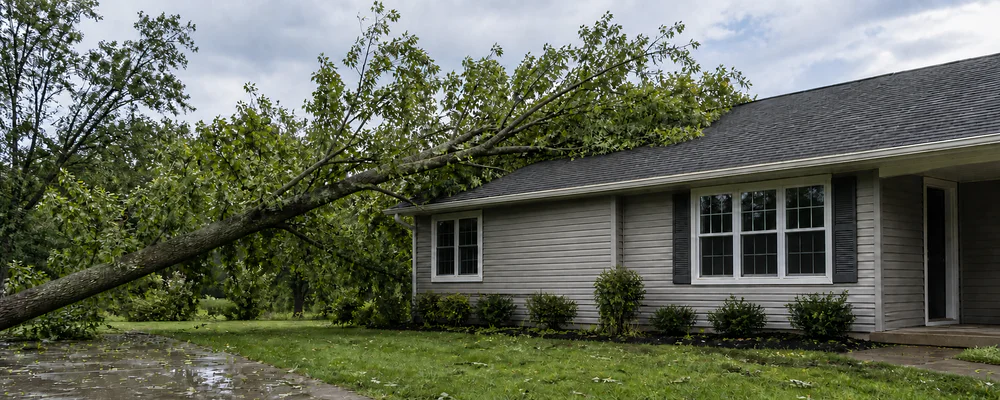 Tree leaning against a house after high winds, illustrating Northwest Indiana storm damage repair
